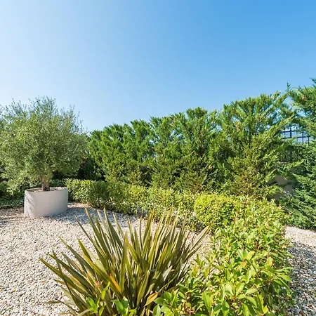 Luxurious 5 Bedrooms Tranquil Adore Private Heated Pool Billiards Table Dalmatia